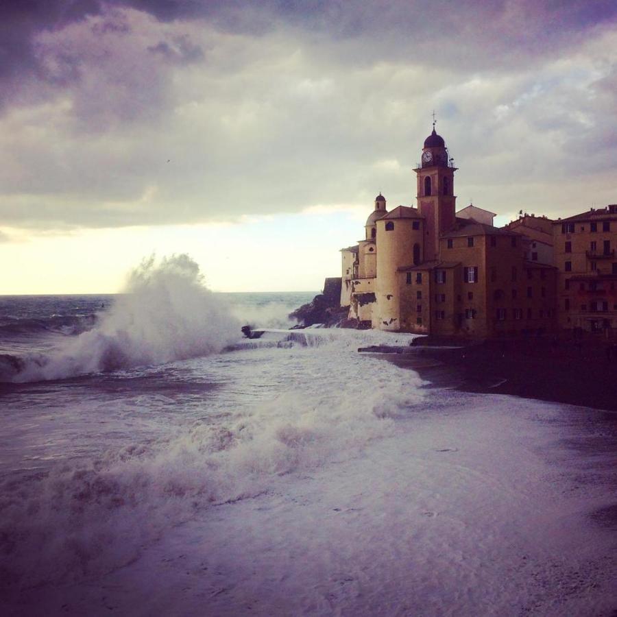 La Casa Della Fiore Camogli Εξωτερικό φωτογραφία