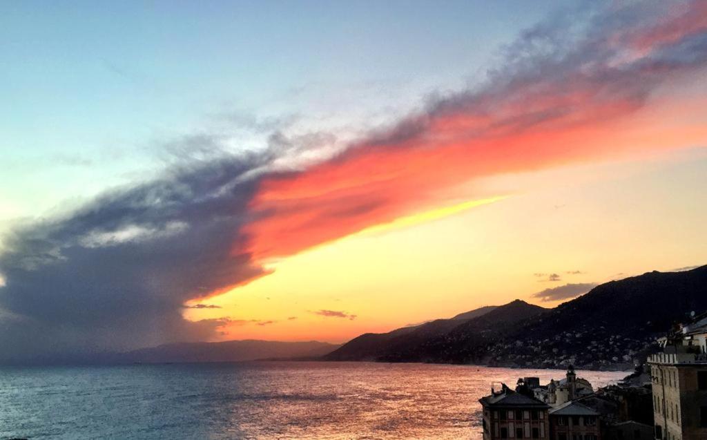 La Casa Della Fiore Camogli Εξωτερικό φωτογραφία