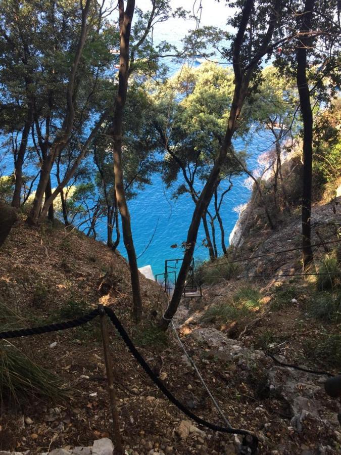 La Casa Della Fiore Camogli Εξωτερικό φωτογραφία